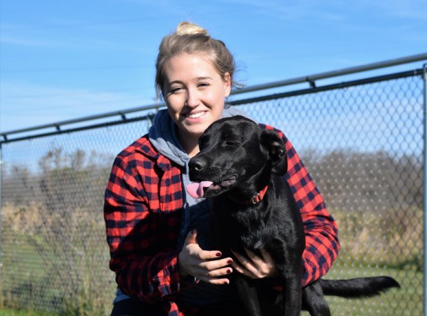 About Chasing Daylight Animal Shelter